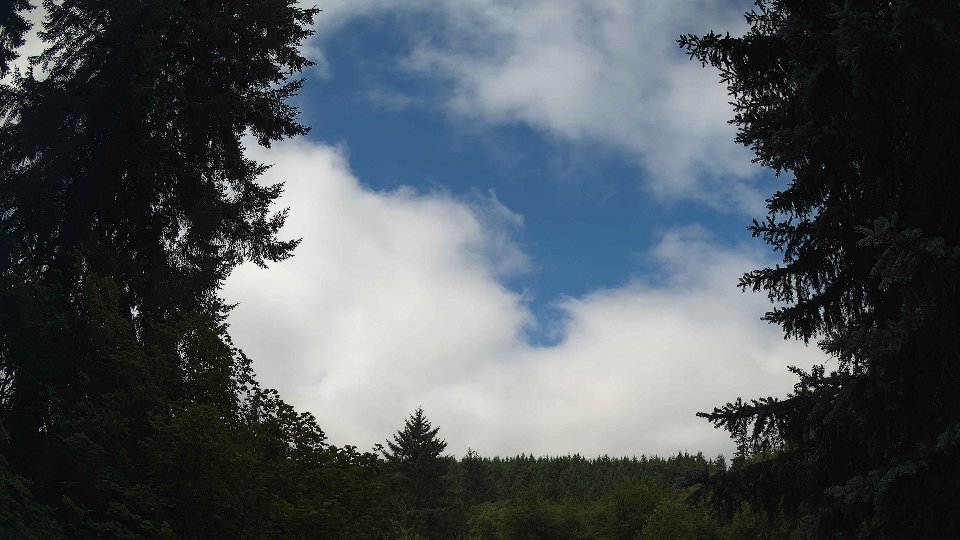 Pacific Northwest skyline timelapse frame from Jul 19th, 2026 at 10:15 AM