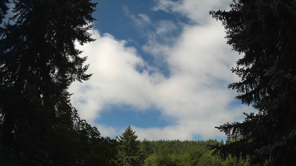 Pacific Northwest skyline timelapse frame from Jul 19th, 2026 at 10:30 AM