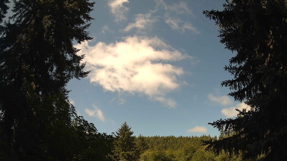 Pacific Northwest skyline timelapse frame from Jul 19th, 2026 at 11:00 AM