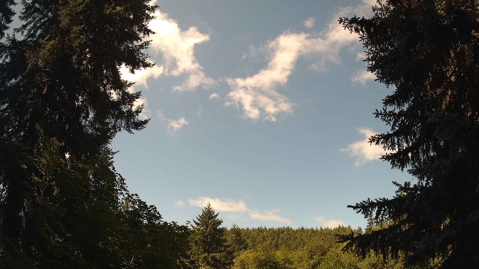 Pacific Northwest skyline timelapse frame from Jul 19th, 2026 at 11:15 AM