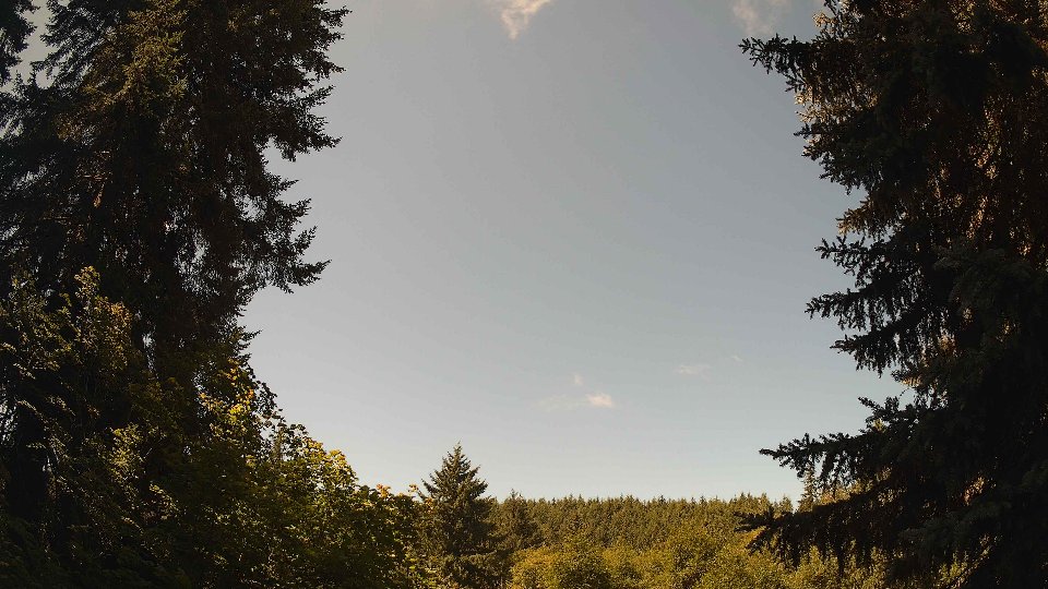 Pacific Northwest skyline timelapse frame from Jul 19th, 2026 at 11:30 AM