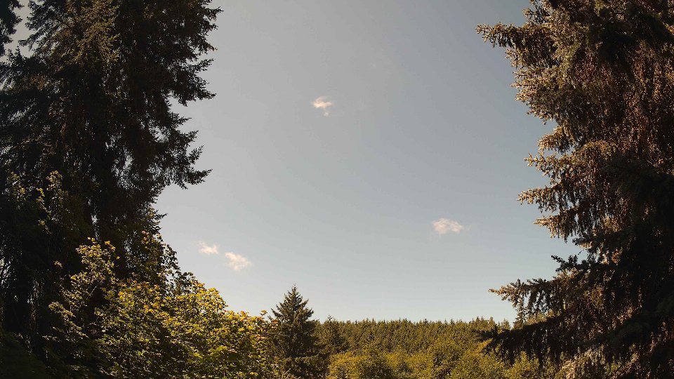 Pacific Northwest skyline timelapse frame from Jul 19th, 2026 at 11:45 AM