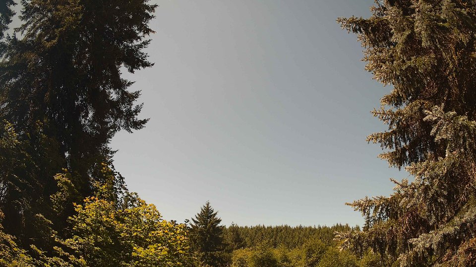 Pacific Northwest skyline timelapse frame from Jul 19th, 2026 at 12:15 PM