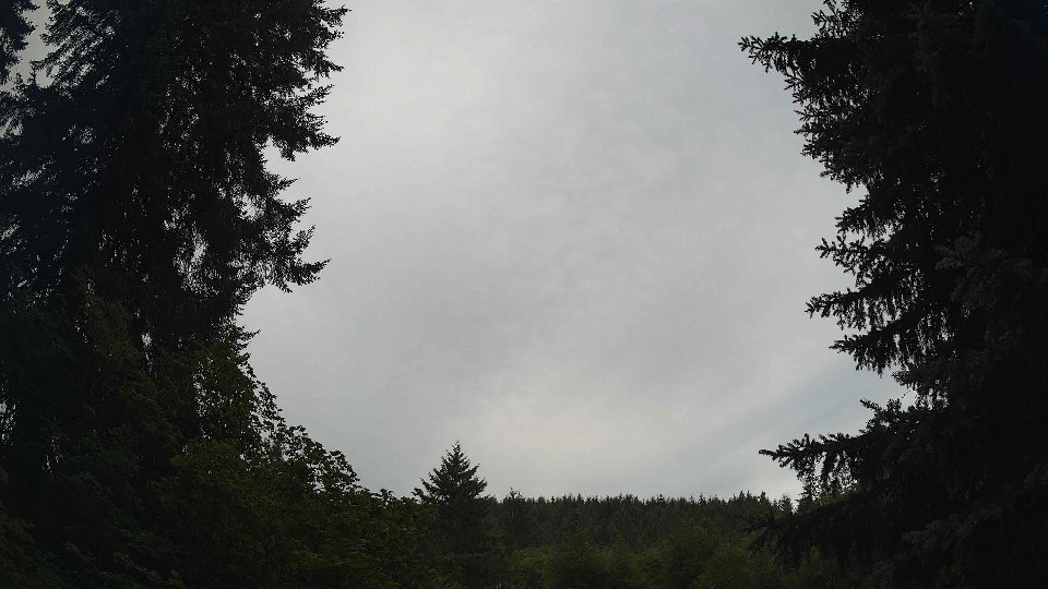 Pacific Northwest skyline timelapse frame from Jul 20th, 2026 at 8:00 AM