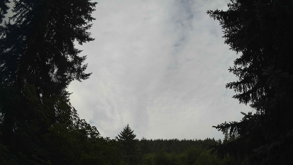 Pacific Northwest skyline timelapse frame from Jul 20th, 2026 at 8:30 AM
