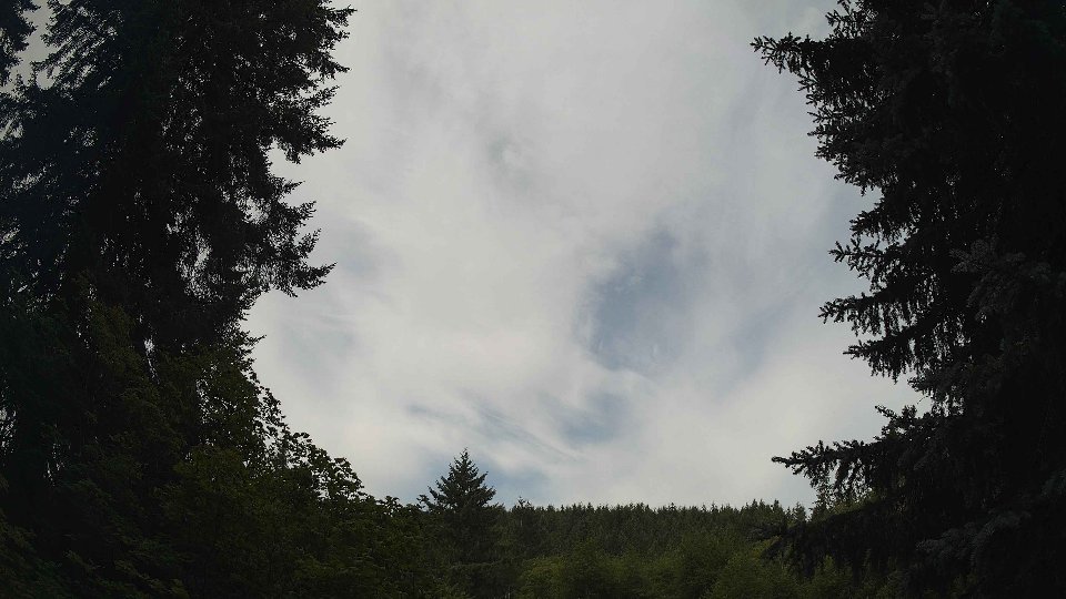 Pacific Northwest skyline timelapse frame from Jul 20th, 2026 at 8:45 AM