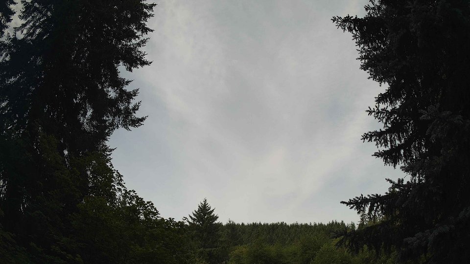 Pacific Northwest skyline timelapse frame from Jul 20th, 2026 at 9:30 AM