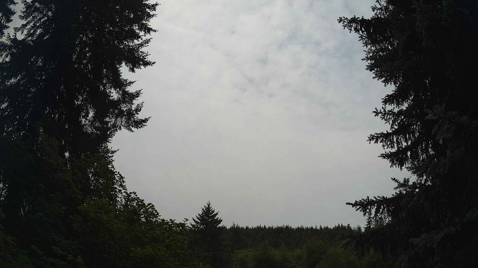 Pacific Northwest skyline timelapse frame from Jul 20th, 2026 at 12:30 PM