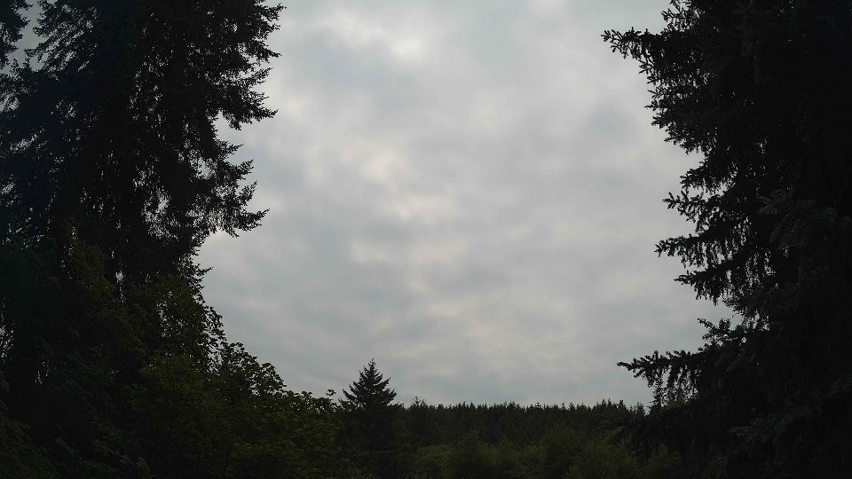 Pacific Northwest skyline timelapse frame from Jul 20th, 2026 at 1:30 PM