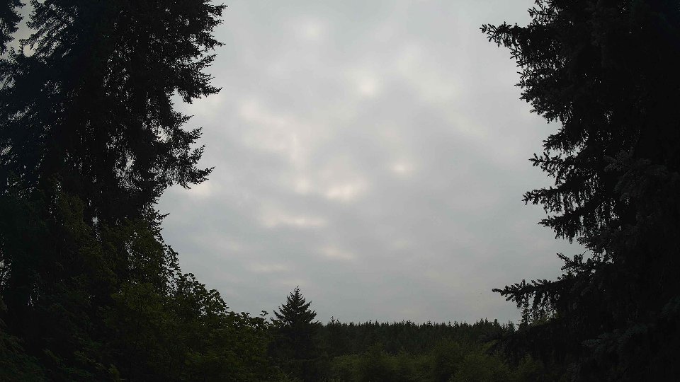 Pacific Northwest skyline timelapse frame from Jul 20th, 2026 at 2:00 PM