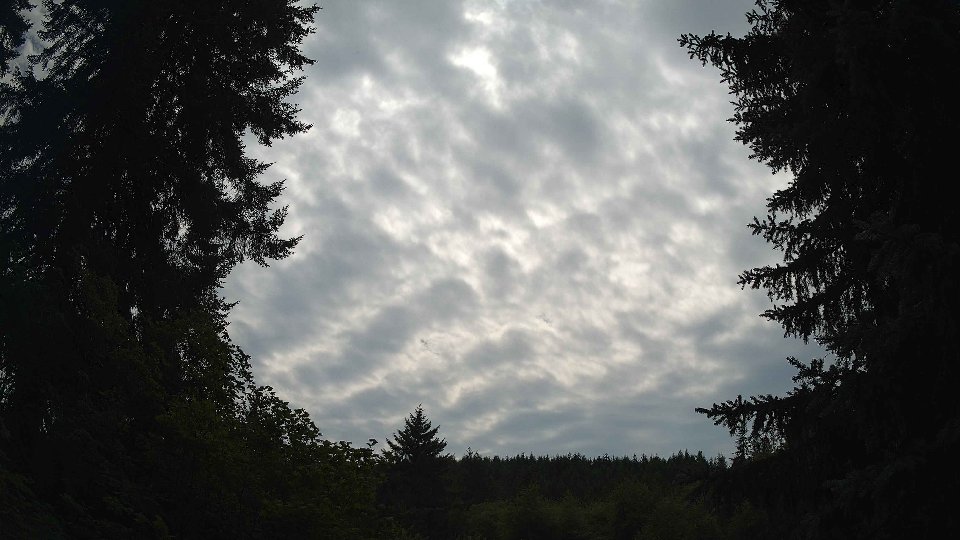 Pacific Northwest skyline timelapse frame from Jul 20th, 2026 at 3:15 PM
