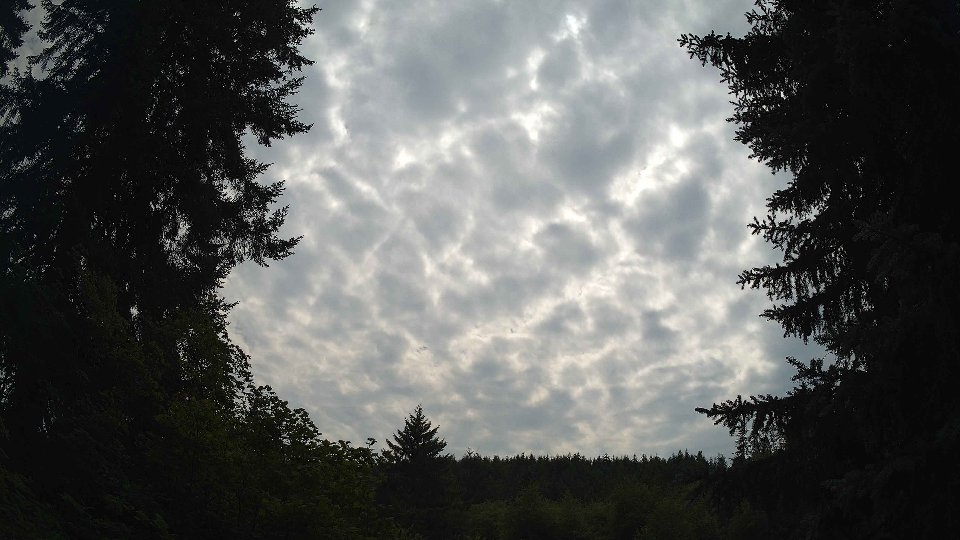 Pacific Northwest skyline timelapse frame from Jul 20th, 2026 at 3:30 PM
