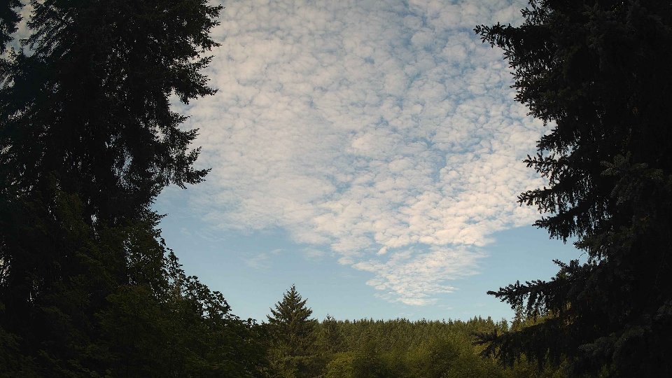 Pacific Northwest skyline timelapse frame from Jul 21st, 2026 at 7:45 AM