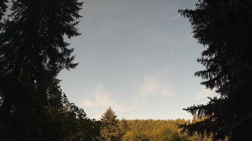Pacific Northwest skyline timelapse frame from Jul 21st, 2026 at 8:30 AM