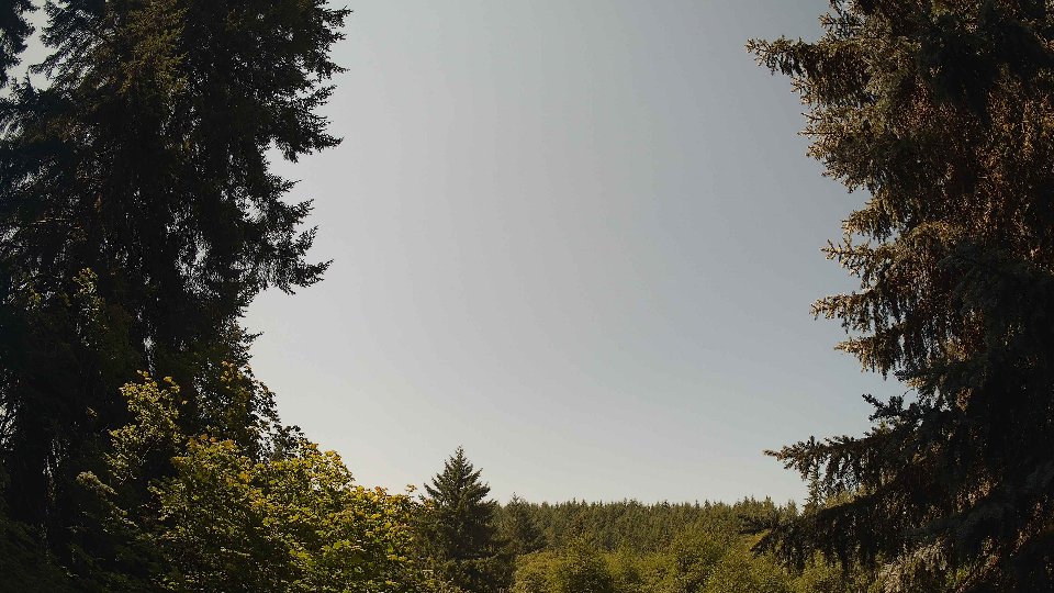 Pacific Northwest skyline timelapse frame from Jul 21st, 2026 at 11:45 AM