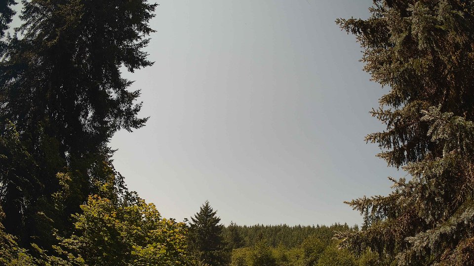 Pacific Northwest skyline timelapse frame from Jul 21st, 2026 at 12:15 PM