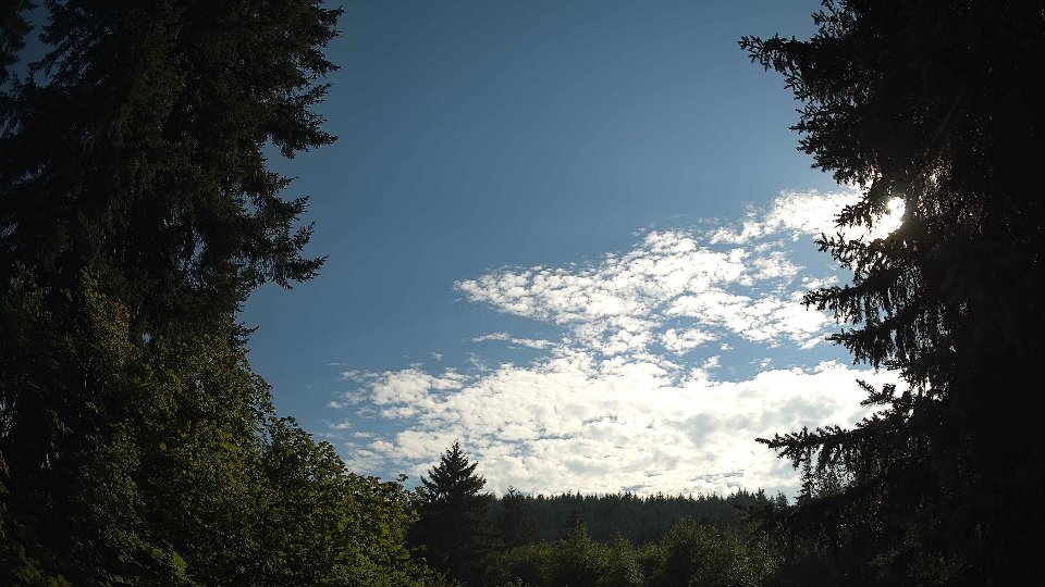 Pacific Northwest skyline timelapse frame from Jul 21st, 2026 at 5:30 PM