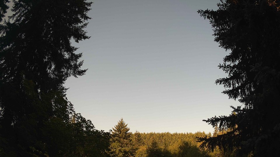 Pacific Northwest skyline timelapse frame from Jul 22nd, 2026 at 8:00 AM