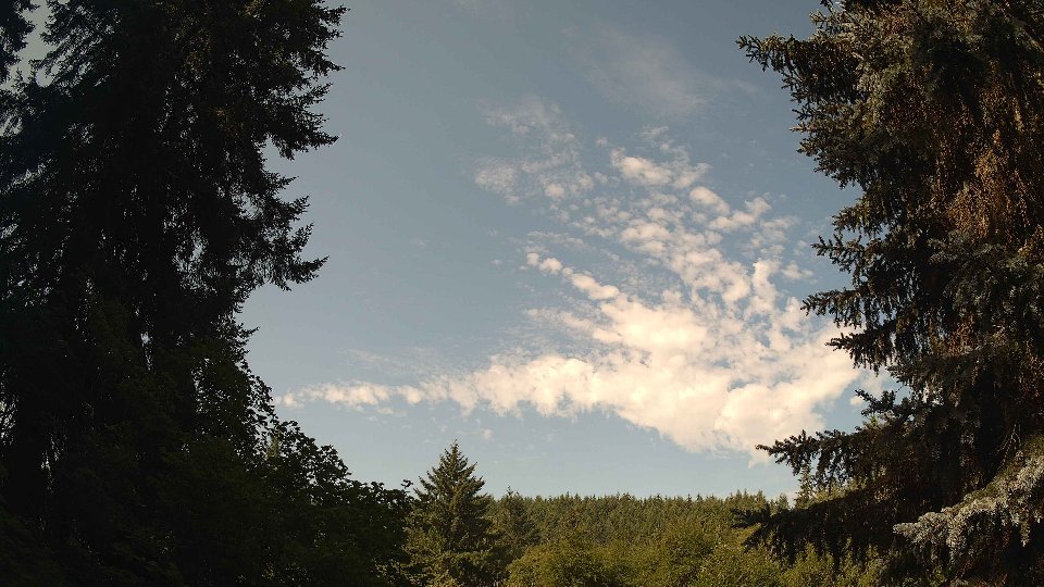 Pacific Northwest skyline timelapse frame from Jul 22nd, 2026 at 10:00 AM