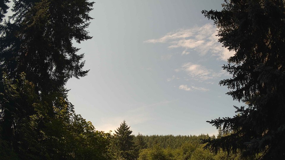 Pacific Northwest skyline timelapse frame from Jul 22nd, 2026 at 11:30 AM