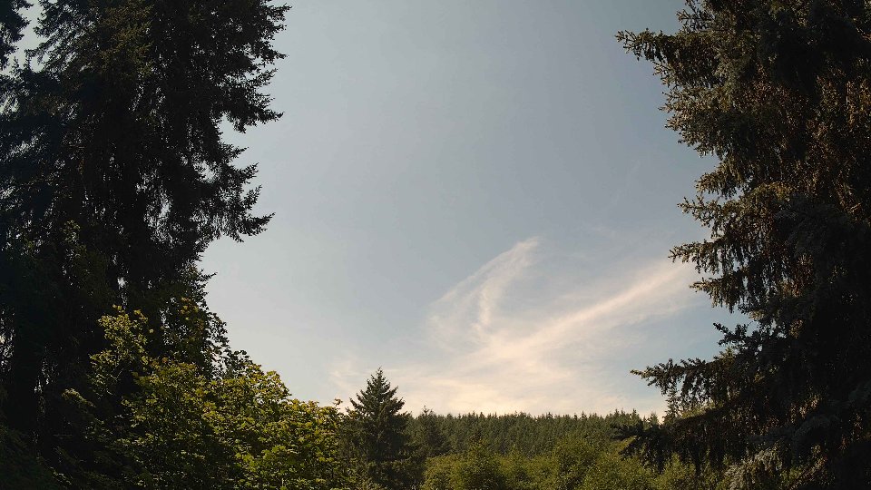 Pacific Northwest skyline timelapse frame from Jul 22nd, 2026 at 11:45 AM