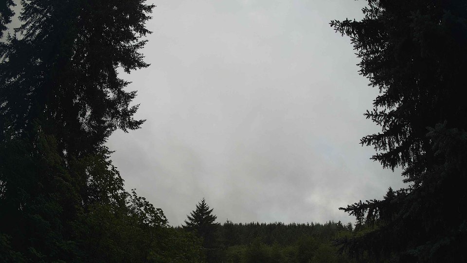 Pacific Northwest skyline timelapse frame from Jul 23rd, 2026 at 8:00 AM