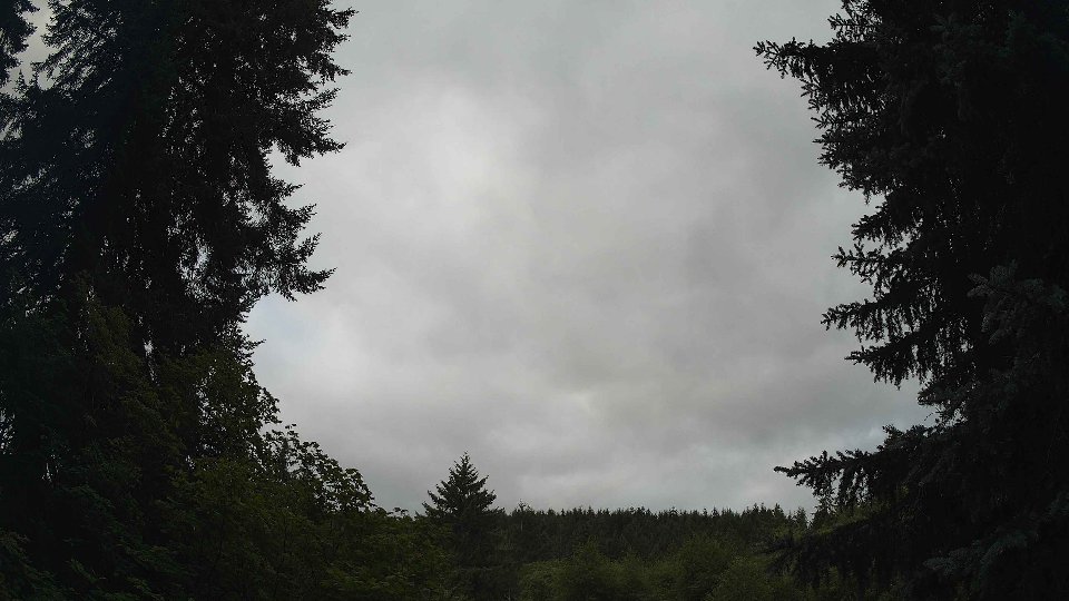 Pacific Northwest skyline timelapse frame from Jul 23rd, 2026 at 10:15 AM