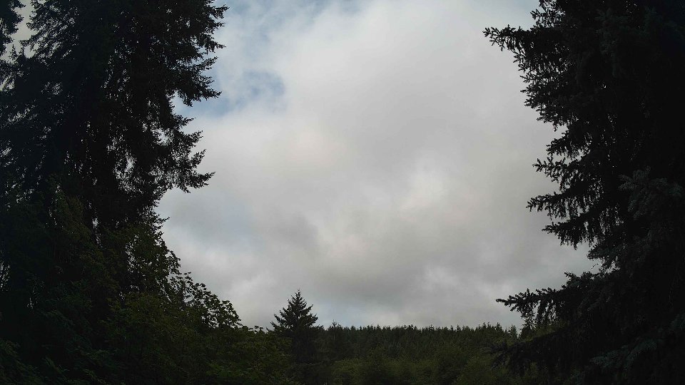 Pacific Northwest skyline timelapse frame from Jul 23rd, 2026 at 10:30 AM