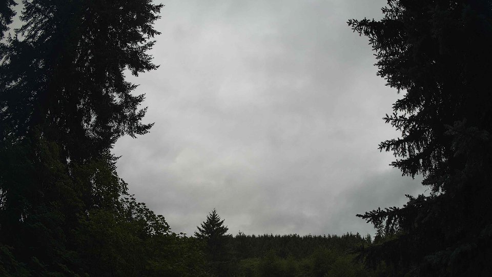 Pacific Northwest skyline timelapse frame from Jul 23rd, 2026 at 11:00 AM