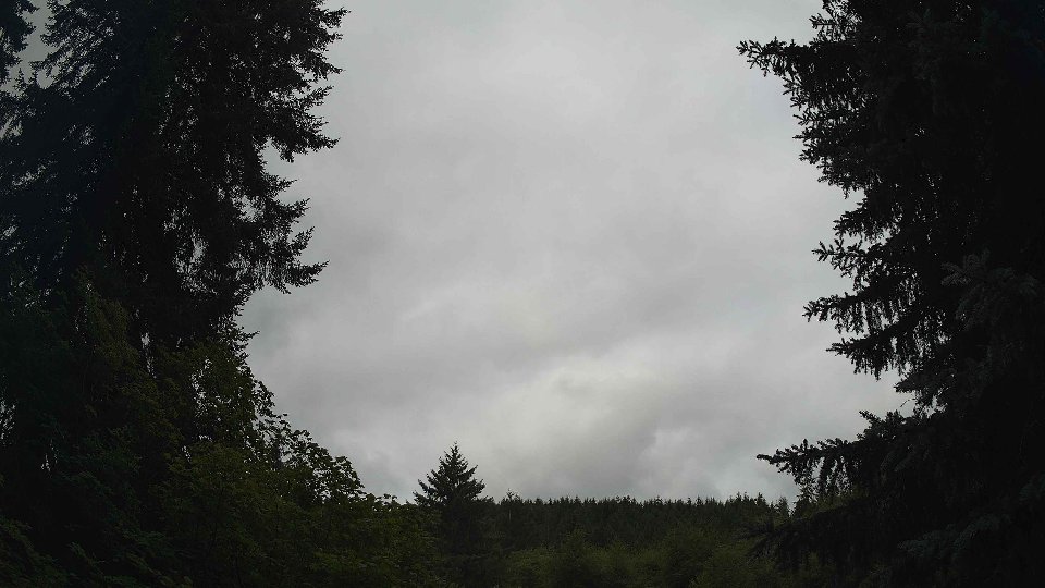 Pacific Northwest skyline timelapse frame from Jul 23rd, 2026 at 11:15 AM