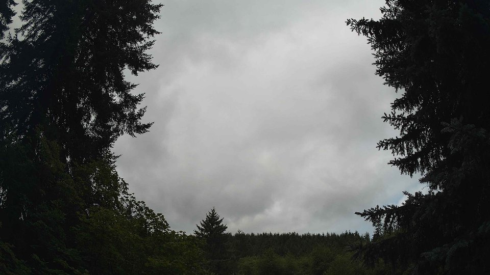 Pacific Northwest skyline timelapse frame from Jul 23rd, 2026 at 11:30 AM