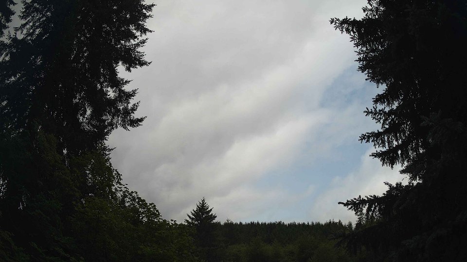 Pacific Northwest skyline timelapse frame from Jul 23rd, 2026 at 11:45 AM