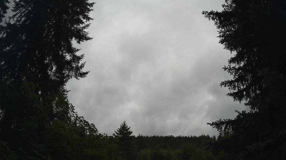 Pacific Northwest skyline timelapse frame from Jul 23rd, 2026 at 12:30 PM