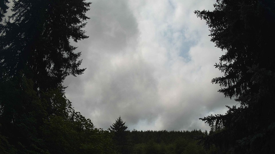 Pacific Northwest skyline timelapse frame from Jul 23rd, 2026 at 1:00 PM