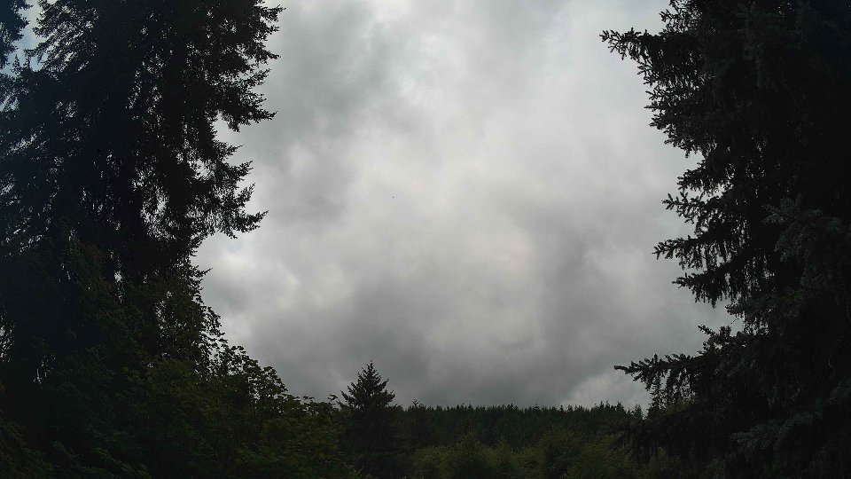 Pacific Northwest skyline timelapse frame from Jul 23rd, 2026 at 1:15 PM