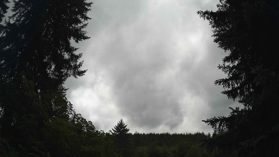 Pacific Northwest skyline timelapse frame from Jul 23rd, 2026 at 1:30 PM