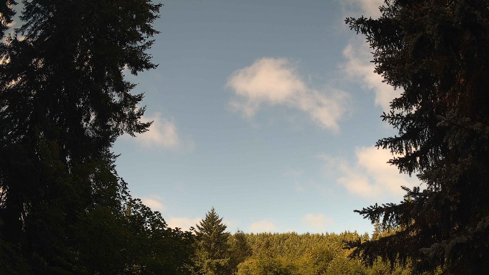 Pacific Northwest skyline timelapse frame from Jul 24th, 2026 at 9:45 AM