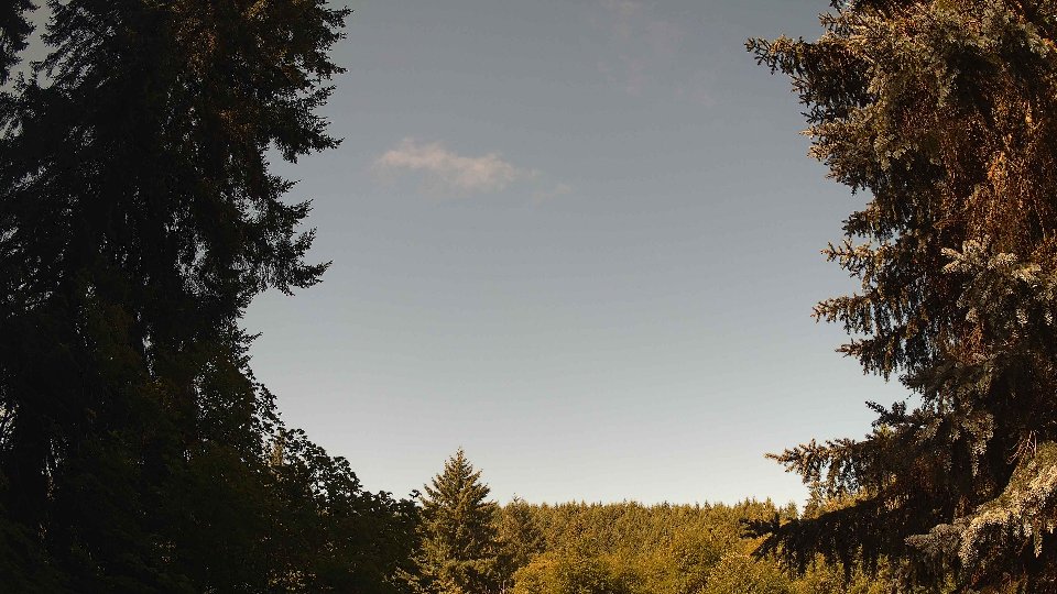 Pacific Northwest skyline timelapse frame from Jul 24th, 2026 at 10:00 AM