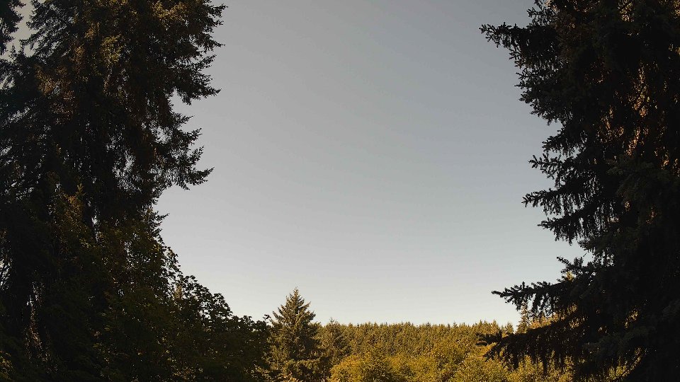 Pacific Northwest skyline timelapse frame from Jul 24th, 2026 at 11:00 AM