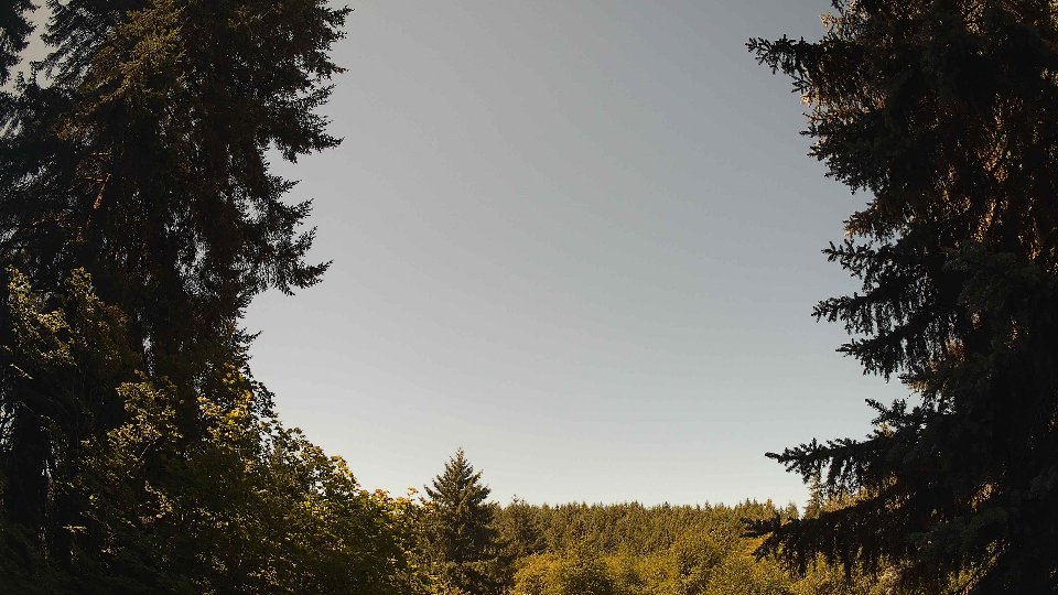 Pacific Northwest skyline timelapse frame from Jul 24th, 2026 at 11:30 AM