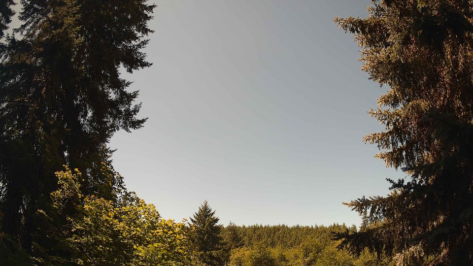Pacific Northwest skyline timelapse frame from Jul 24th, 2026 at 11:45 AM
