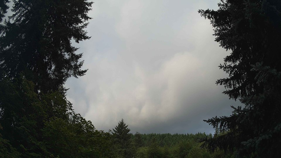 Pacific Northwest skyline timelapse frame from Jul 25th, 2026 at 7:45 AM