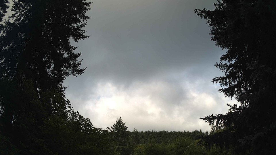 Pacific Northwest skyline timelapse frame from Jul 25th, 2026 at 8:00 AM