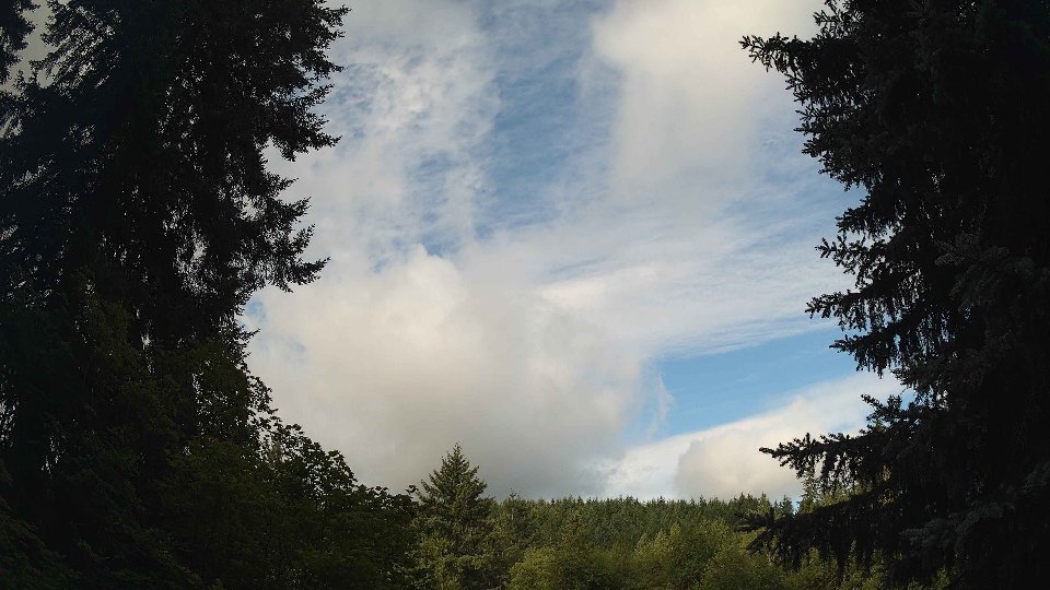 Pacific Northwest skyline timelapse frame from Jul 25th, 2026 at 8:30 AM
