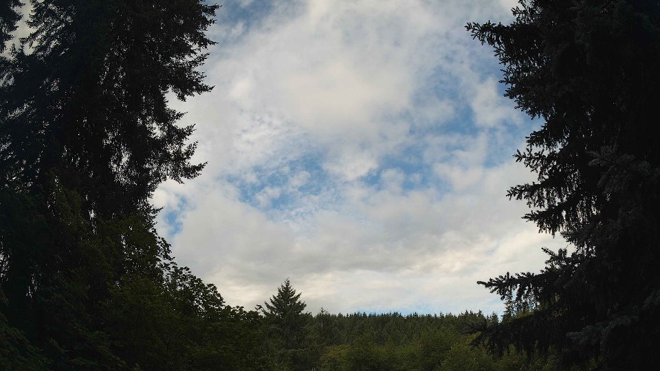 Pacific Northwest skyline timelapse frame from Jul 25th, 2026 at 8:45 AM