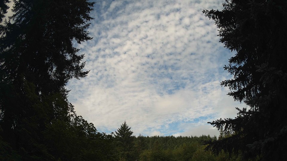 Pacific Northwest skyline timelapse frame from Jul 25th, 2026 at 9:00 AM