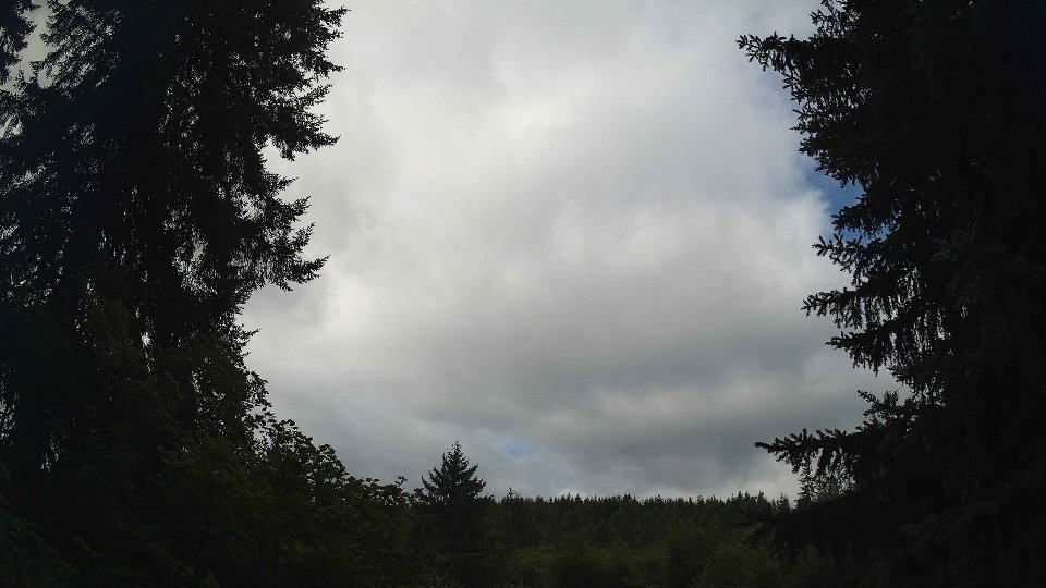 Pacific Northwest skyline timelapse frame from Jul 25th, 2026 at 9:30 AM