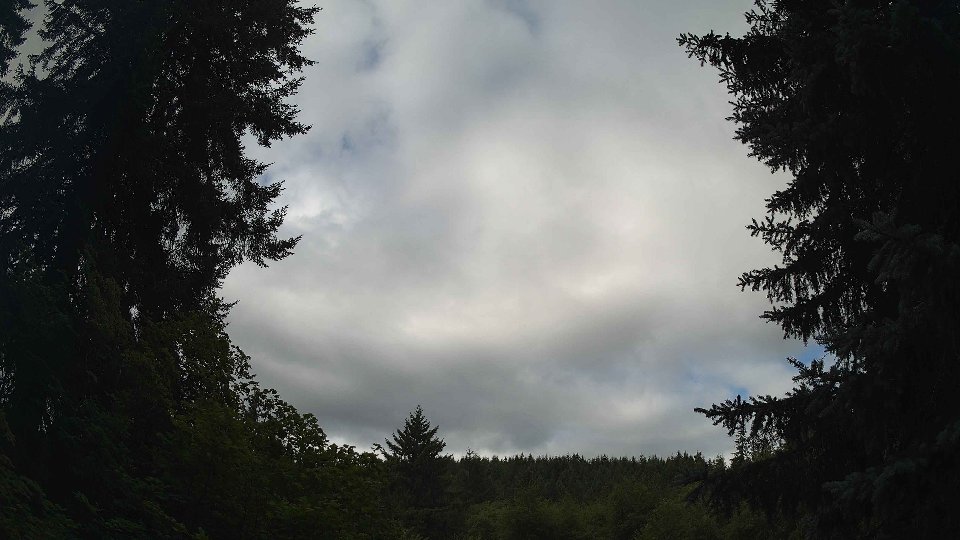 Pacific Northwest skyline timelapse frame from Jul 25th, 2026 at 10:00 AM