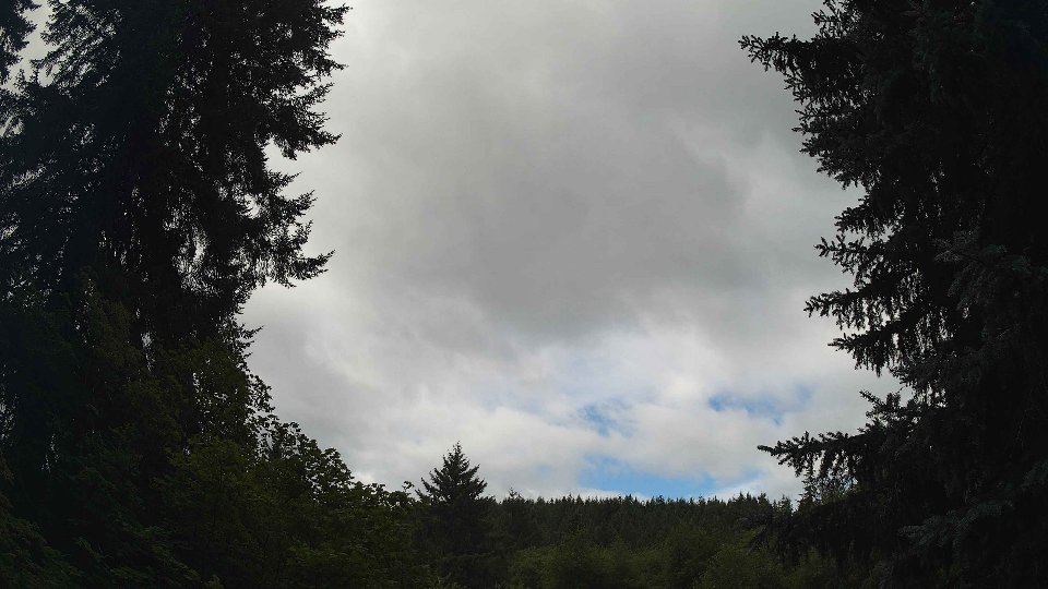 Pacific Northwest skyline timelapse frame from Jul 25th, 2026 at 10:15 AM