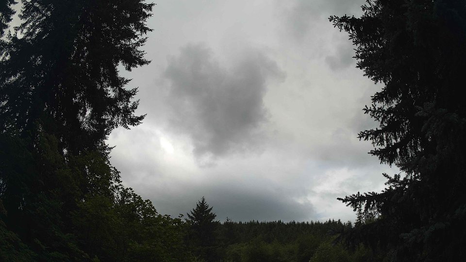 Pacific Northwest skyline timelapse frame from Jul 25th, 2026 at 10:30 AM
